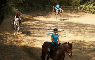 W/C 5 September - Weekday Riding Courses
