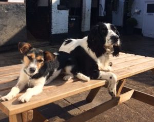 Banjo and Milo
