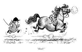 Wed 11 Sept- Horse Psychology for Riders