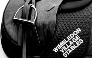 Tues 28 July - Saddle fitting with Vicky DeLasalle