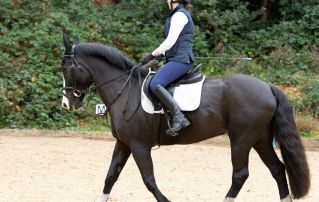 Fri 31 May - Members' Dressage Competition