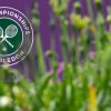 July 2026 - Wimbledon Tennis Fortnight