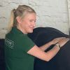 Sun 28 Sept Equine Massage Demonstration with Jodie Dawson!
