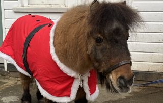 Dec 2026 - Christmas Jumper Day