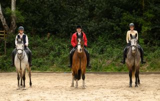 Fri 17 July - Members Dressage Competition