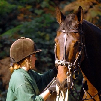 Horse-care-Lunge-lessons-1 (1)