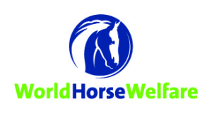 World horse welfare