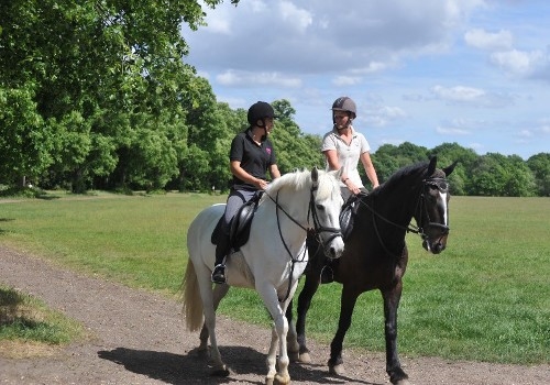 Countryside ride on Wimbledon Common