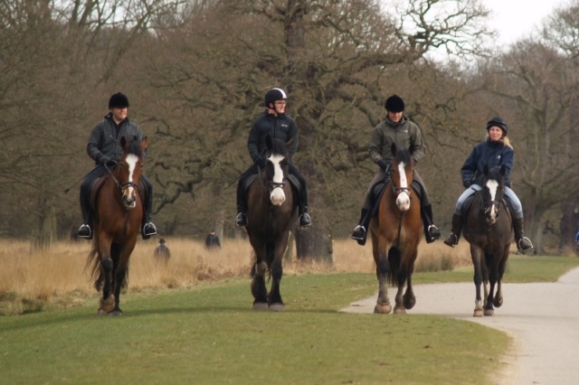 Autumn ride in Richmond Park