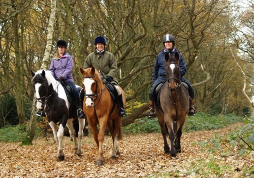 Horse riding in the Autumn on Wimbledon Common