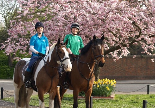 Wimbledon in blossom on horseback