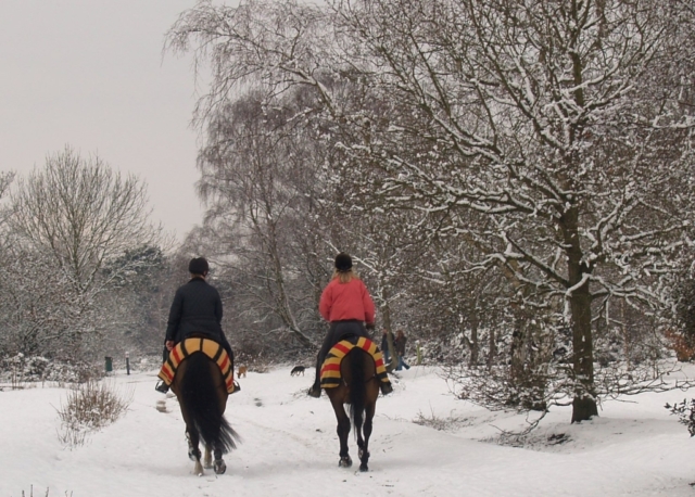 We ride in all weathers!  A beautiful snowy day.