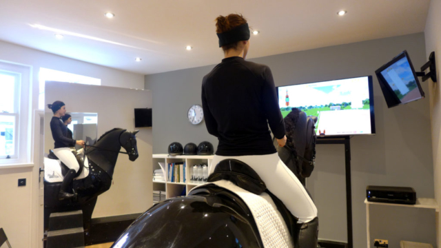 Equicise horse simulator