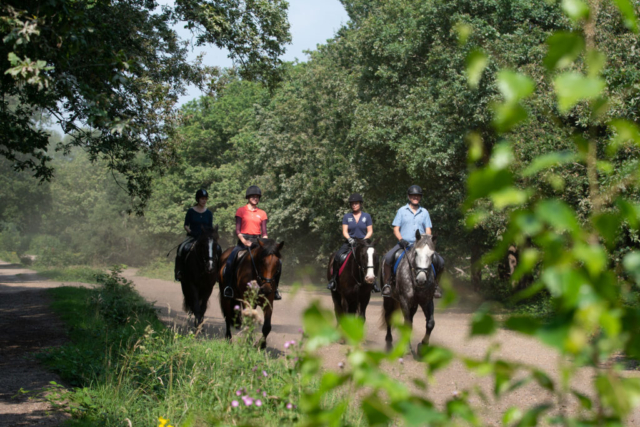 Riding with friends on Wimbledon Common
