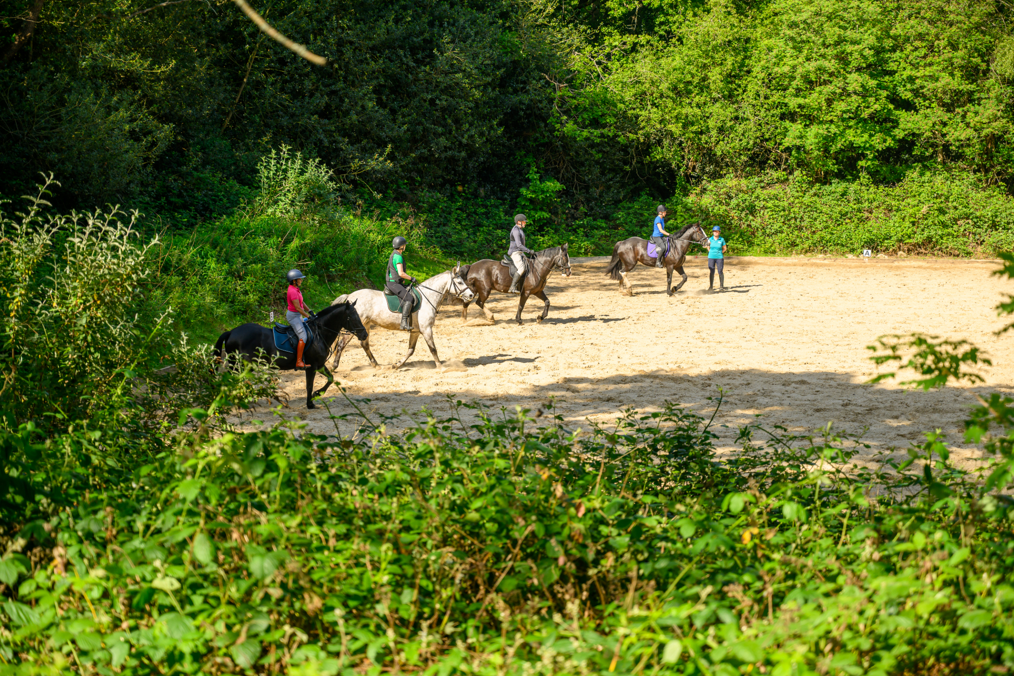 Lessons for advanced riders